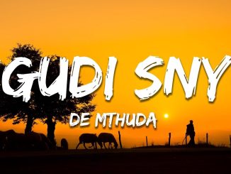 Kwaze Kwamnandi – Is Good Is Nice (Snippet)