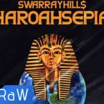 SwarrayHill$ - Looney Tunes