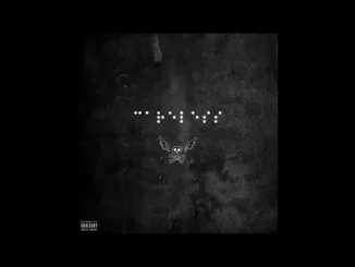 A-Reece – Carele$$