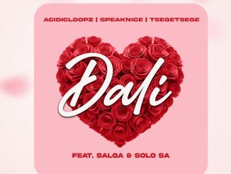 Acidicloopz – Dali Ft. Speaknice, Tšegetšege, Salga & Solo Sa