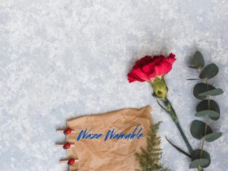 Acidicloopz – Waze Wamuhle Ft. Dlala Ceekai, Solo Sa, Lah’Vee, Somdaka & Wizzwsmusiq