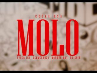 Ceeka Rsa – Molo Wav.files