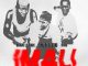 Comment on Bhutlegend – Imali Ft. Ifani & Bravo Le Roux by mazwi Qwabe