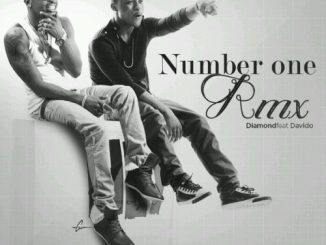 Diamond Platnumz – Number One [Remix]