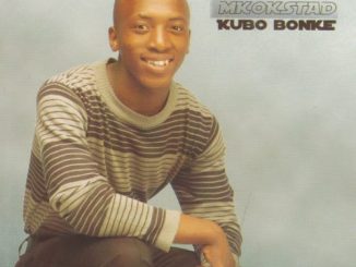 Dumi Mkokstad – Ilanga Elikhulu