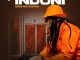 INdoni – Ziboshiwe izinsizwa