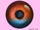 Kusini – Show Me (Beta Librae Remix) ft. Silvva & Olivia Ambani