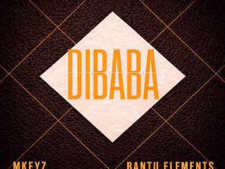 Ladi Adiosoul – Dibaba Ft. Blaq Note, Mkeyz & And Bantu Elements