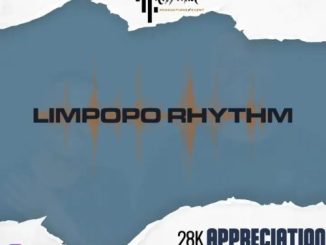 Limpopo Rhythm – 28K Followers Mix
