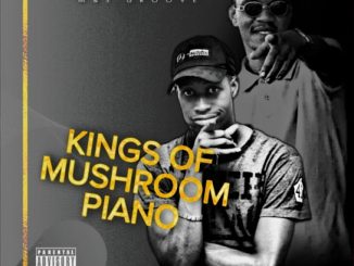 M&S Groove – Keng Ka Wena Ft. , Vista Gang & Provider Sa