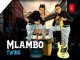 Mlambotwins – UBakhumbule