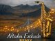 Msay Wedding Films – Ntaba Ezikude (Amapiano Remix)