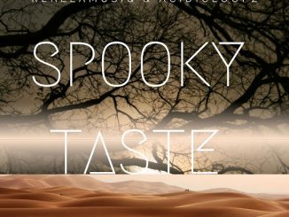 Reallamusiq & Acidicloopz – Spooky Taste