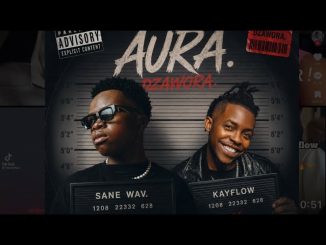 Sane Wav – Aura Dzawora