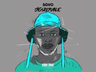 Sgvo – Ahmen