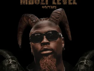 Stilo Magolide – Wed Em ft 25k