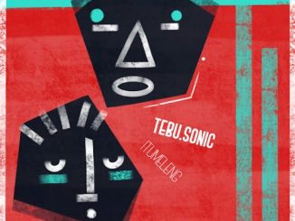 Tebu.sonic – Needs (Sonitech Mix)