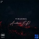 Vida-Soul – Psalm ft TorQue MuziQ