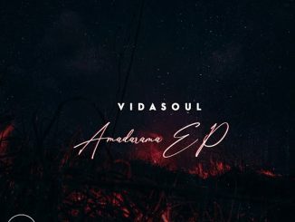 Vida-Soul – Psalm ft TorQue MuziQ