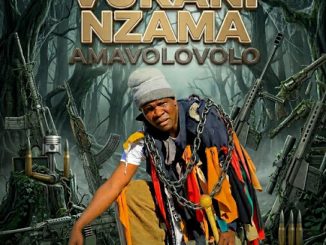 Vukani Nzama – Amavolovolo Album