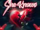 William Last KRM – She Knows Ft Trevor Dongo