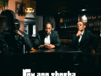 031 Mafia, The Musical Selectors SA & Ruvano – New Age Thesha (GQOM & DISCO)