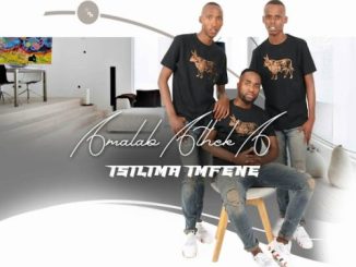 Amalabatheka – Wenzenjani