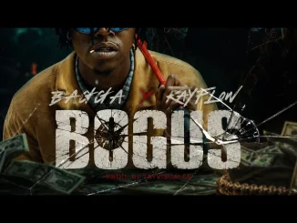 Bagga, Kayflow – Bogus