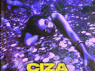 Ciza – Shona Phantsi / On Da Floor Ft. Mavo, Zvri, And Ney The Bae & Smilo
