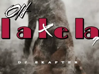 DJ Skapter, Davido, Jazzwrld & Gl Ceejay – LALELA feat. (tyla, Thukuthela x Zee Nxumalo & Babalwa M)