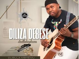 Diliza Debese Ndlabeybuza – Dubula mbhemu ft. Mlayezo
