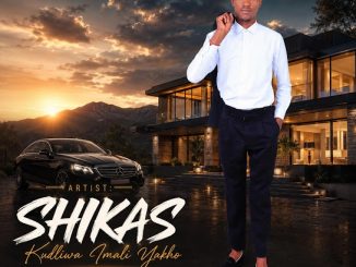 Dlamini Shika's Mshikashika – Luyimalini kwithimu yokqala