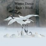 Don’T Blink – Winter Dance Don’T Blink – Winter Dance