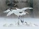 Don’T Blink – Winter Dance