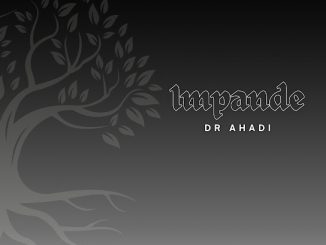 Dr Ahadi – Impande Album