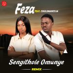 Feza – Sengithole Omunye (Remix ) Ft. Chulumanco M