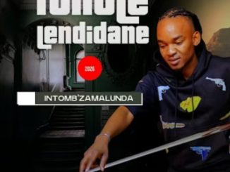 Ithole leNdidane – Angiwafuni amashende ft. Sne Ntuli
