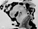 Jaunt – Holding On To You (Emissive Remix)