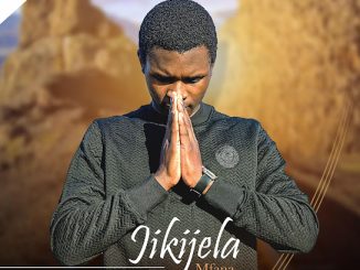Jikijela Mfana – Zidedele Nduna Ft. Zazi