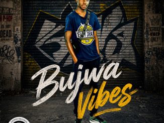 Kaybee Sok – Bujwa Vibes