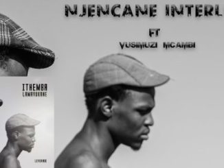 Leverage & Vusimuzi Mcambi – Njencane Interlude
