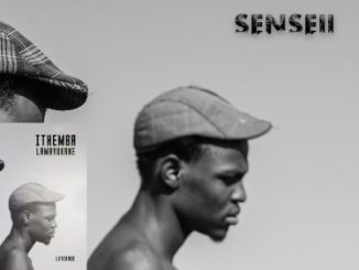 Leverage_A1 – Senseii