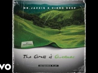 Mr Jazziq – Blue Skies Reloaded Ft. Vigro Deep