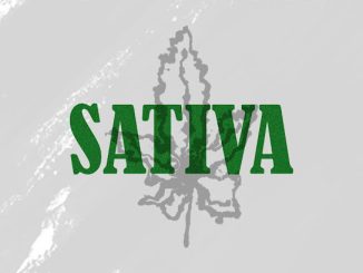 Nasper – Sativa Ft. Sane Wav