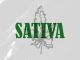 Nasper – Sativa Ft. Sane Wav