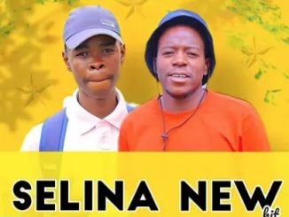 Nkgetheng The Dj & Mogamaphiri – Tshikinya Hlogo