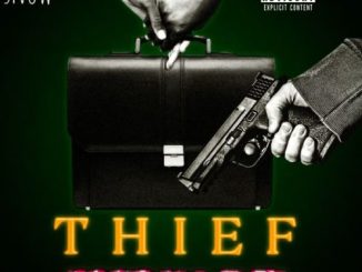 Official Snow – Thief Woman