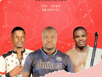 Phangandawo – Luyazenzela Ft. Shenge Wasehlalankosi & Mjabulisi