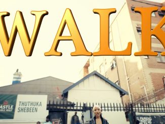 Priddy Prince – Walk