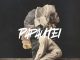 Sjavas99 & Drummertee924 – Papaoutei (Stromae Remix)